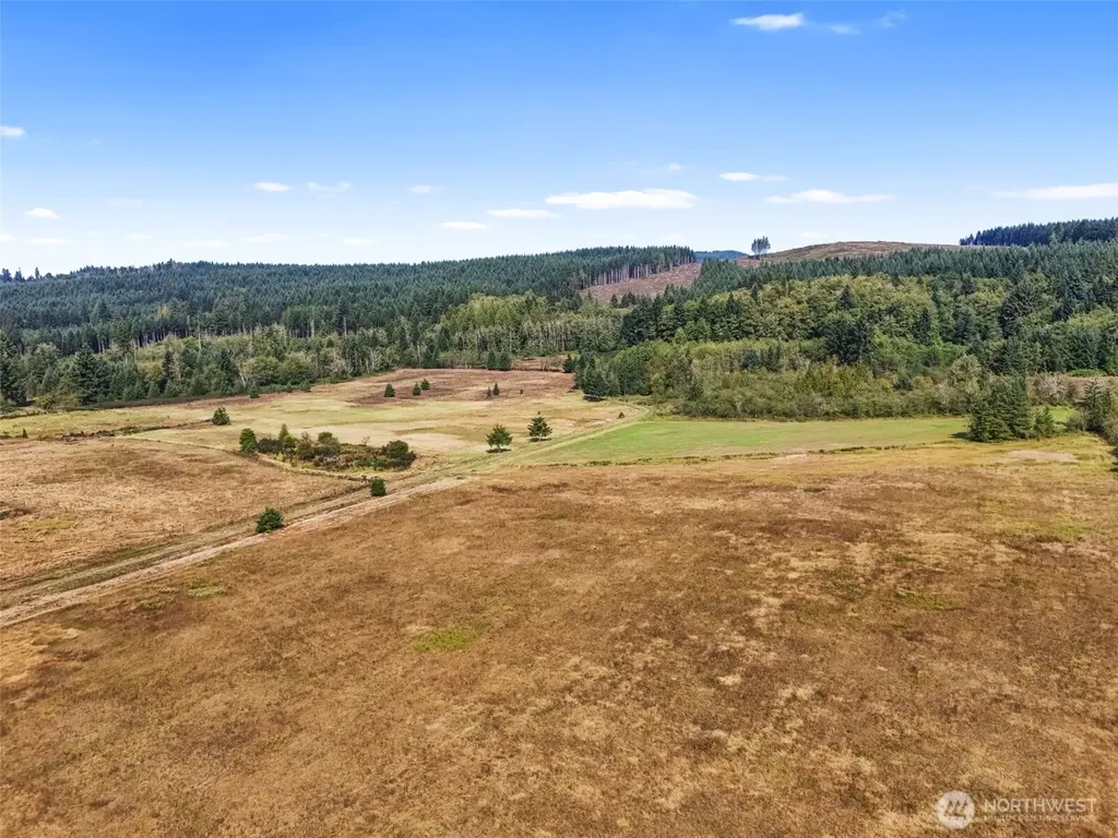 104 Bills Lane Onalaska WA 98570