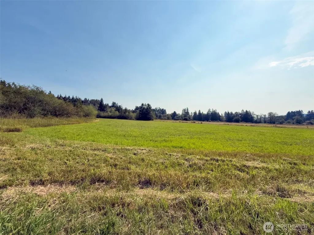 104 Bills Lane Onalaska WA 98570