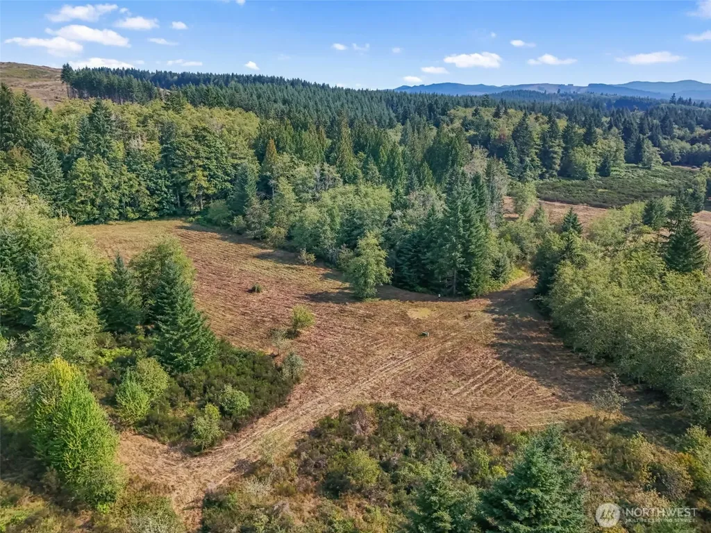 104 Bills Lane Onalaska WA 98570