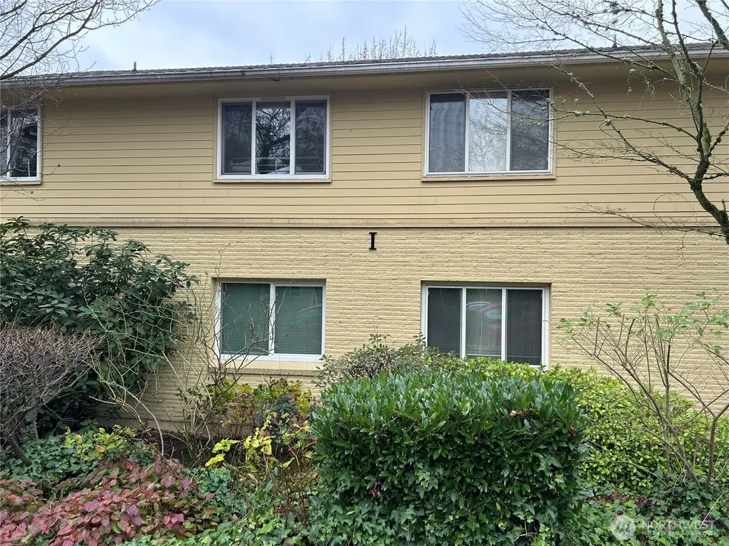 4717 Terrace Drive NE Seattle WA 98105