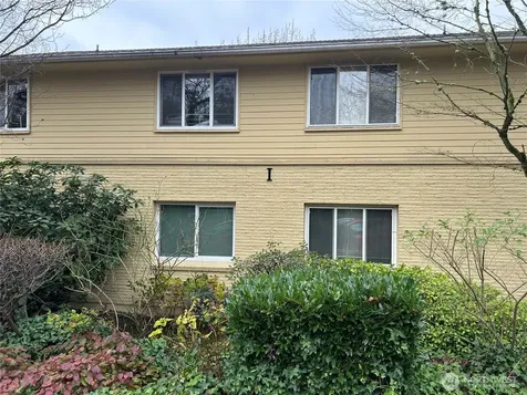 4717 Terrace Drive NE Seattle WA 98105