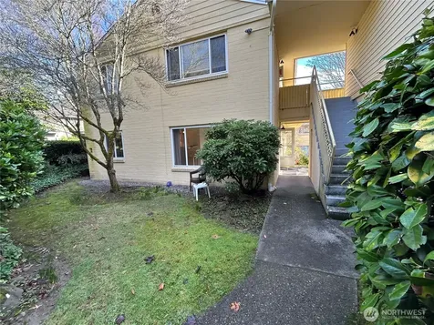 4717 Terrace Drive NE Seattle WA 98105