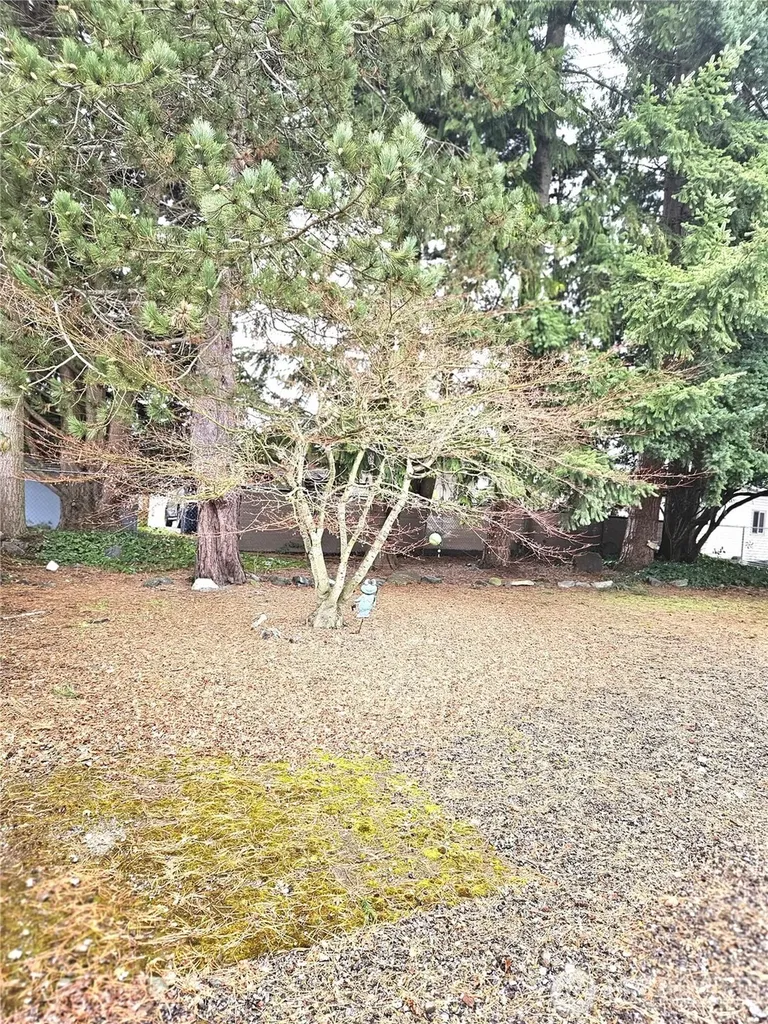 1427 100th Street Everett WA 98204