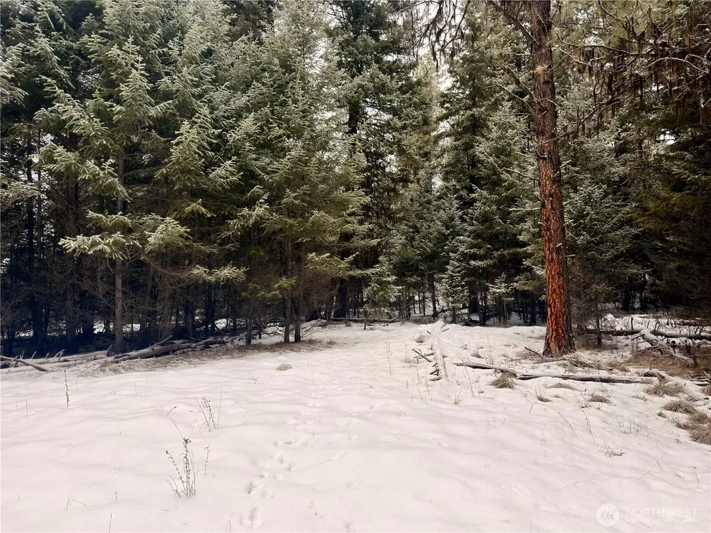 25 Miner's Ridge Road Oroville WA 98844