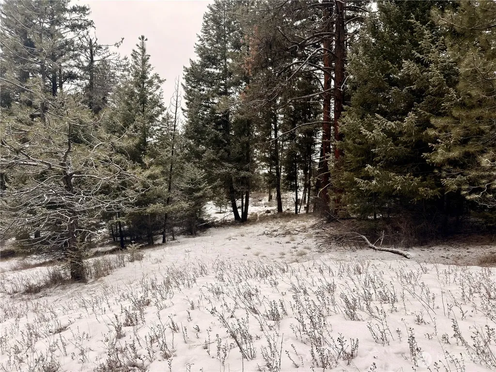25 Miner's Ridge Road Oroville WA 98844