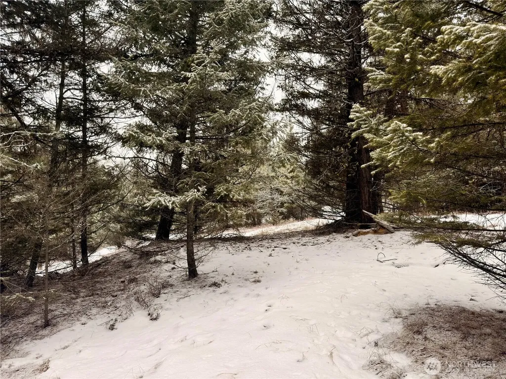 25 Miner's Ridge Road Oroville WA 98844