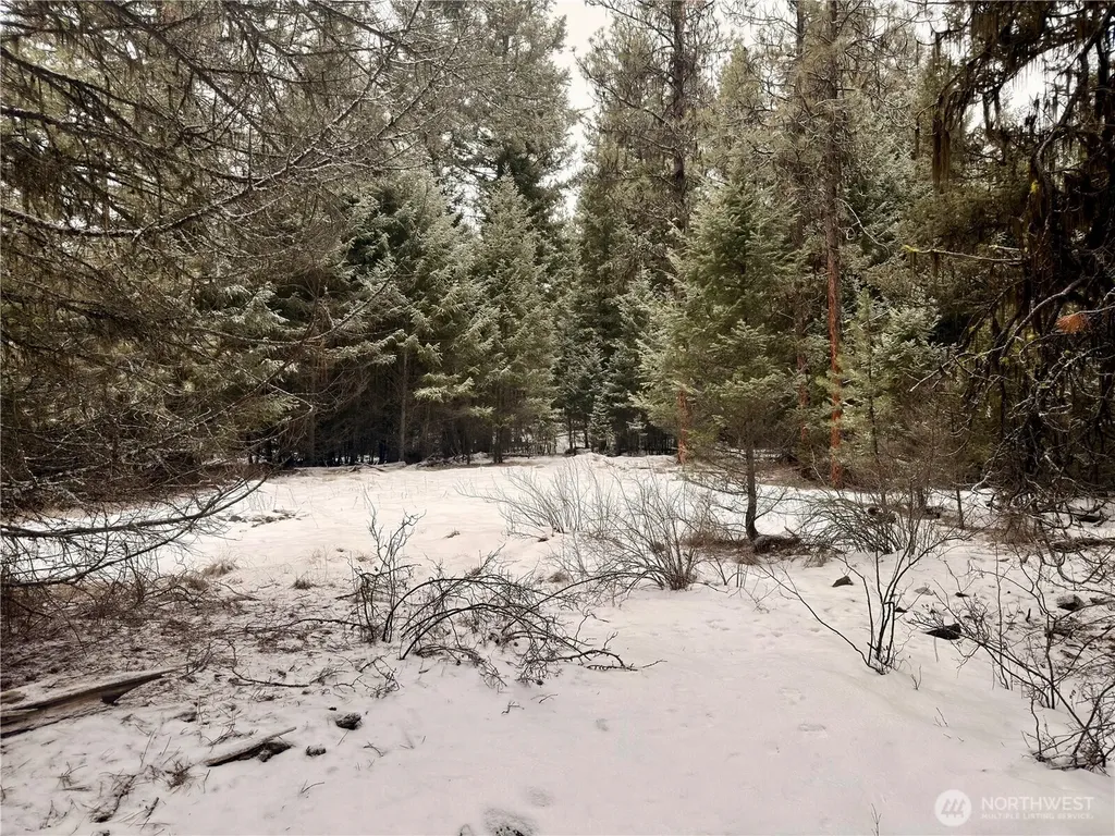 25 Miner's Ridge Road Oroville WA 98844