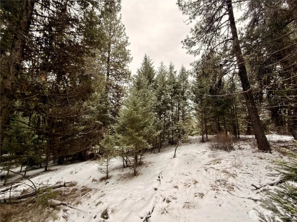 25 Miner's Ridge Road Oroville WA 98844