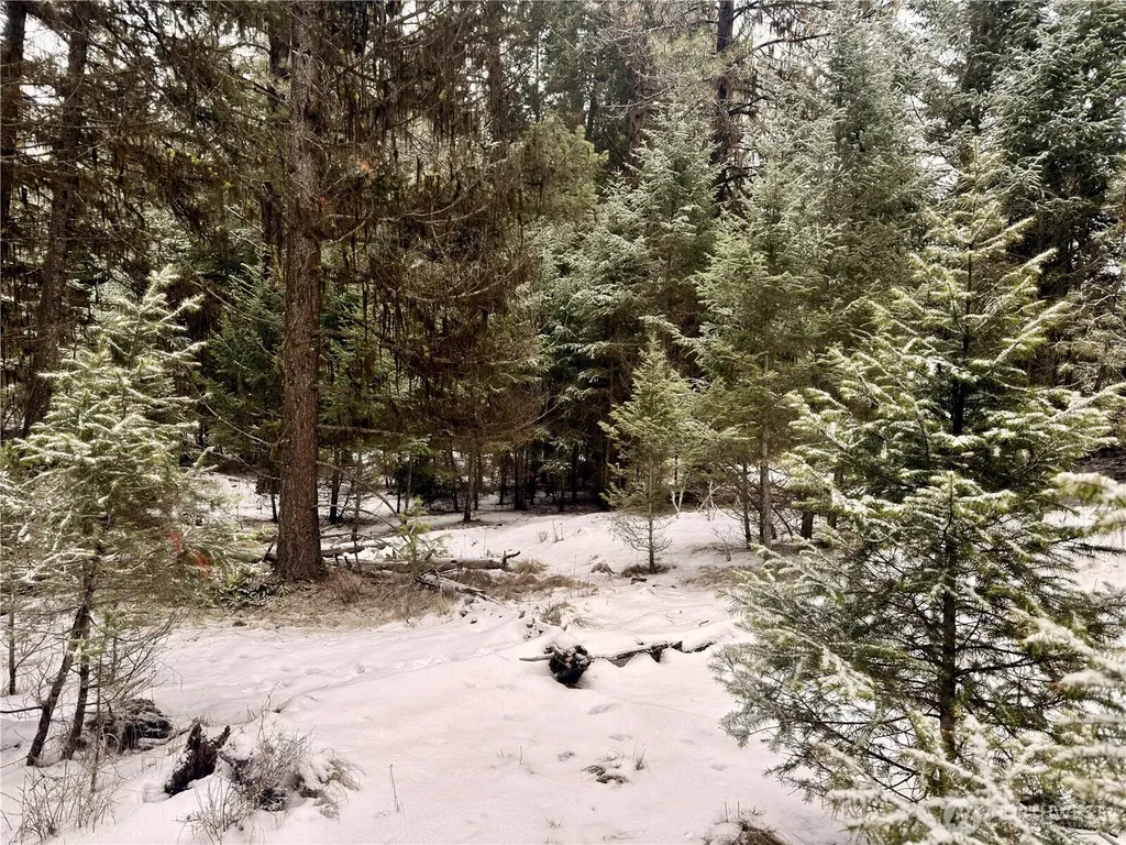 25 Miner's Ridge Road Oroville WA 98844