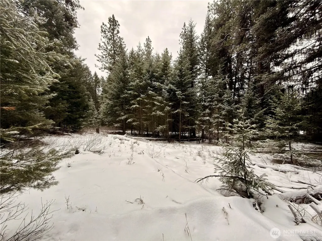 25 Miner's Ridge Road Oroville WA 98844