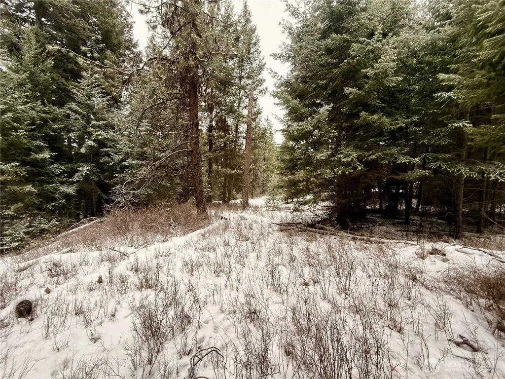 25 Miner's Ridge Road Oroville WA 98844