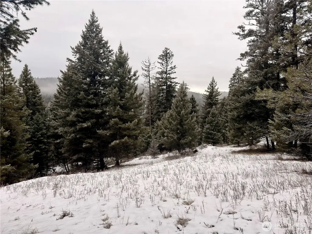 25 Miner's Ridge Road Oroville WA 98844