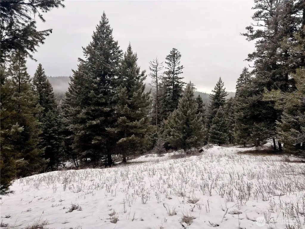 25 Miner's Ridge Road Oroville WA 98844