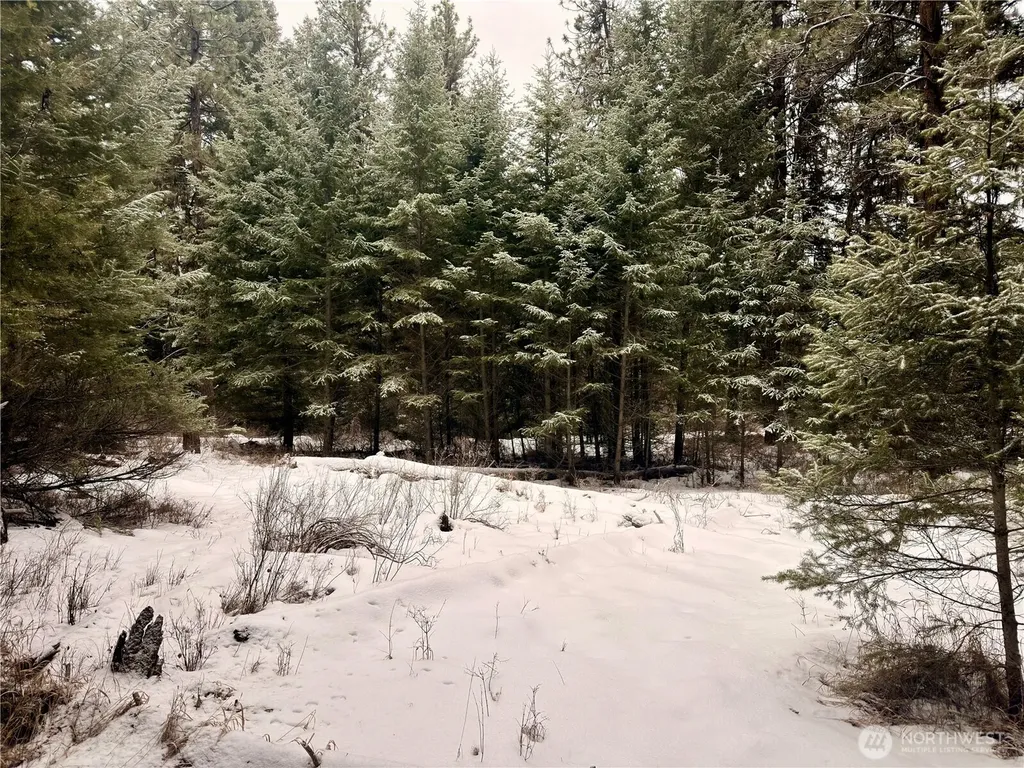 25 Miner's Ridge Road Oroville WA 98844