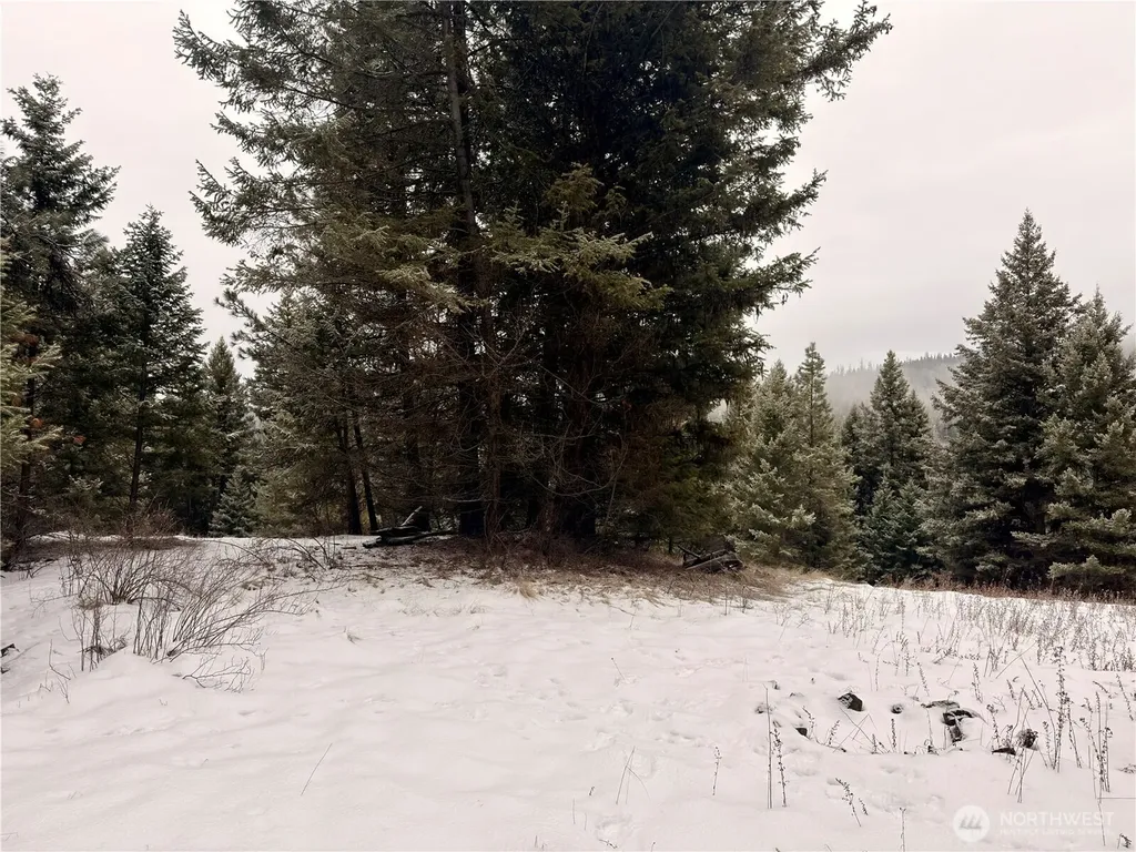25 Miner's Ridge Road Oroville WA 98844