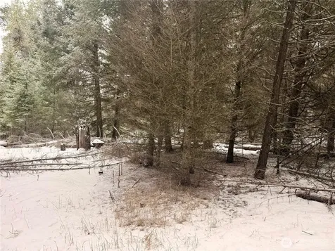 25 Miner's Ridge Road Oroville WA 98844