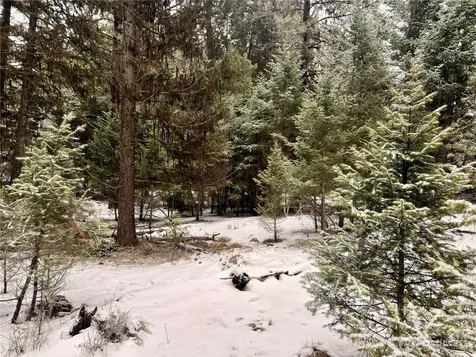 25 Miner's Ridge Road Oroville WA 98844