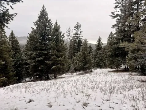 25 Miner's Ridge Road Oroville WA 98844
