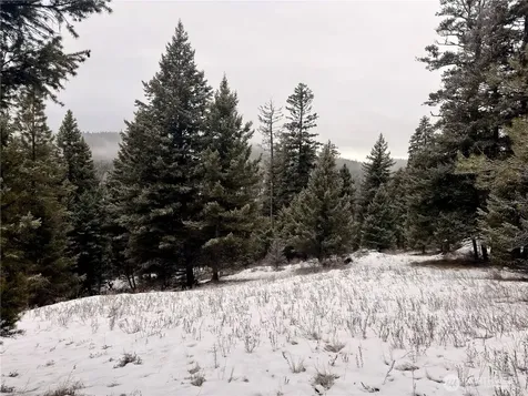 25 Miner's Ridge Road Oroville WA 98844