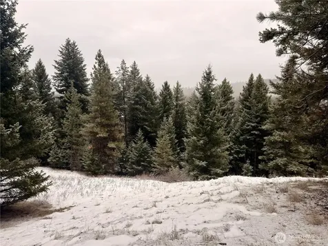 25 Miner's Ridge Road Oroville WA 98844