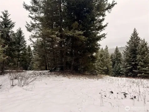 25 Miner's Ridge Road Oroville WA 98844