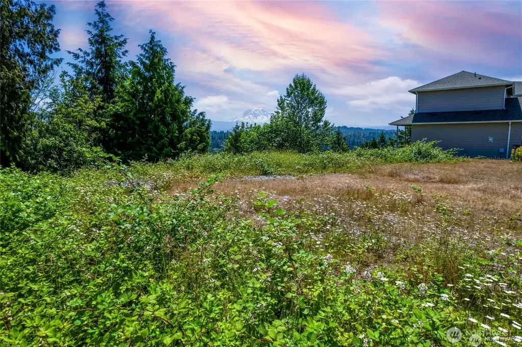 10602 177th Avenue Ct E Bonney Lake WA 98391