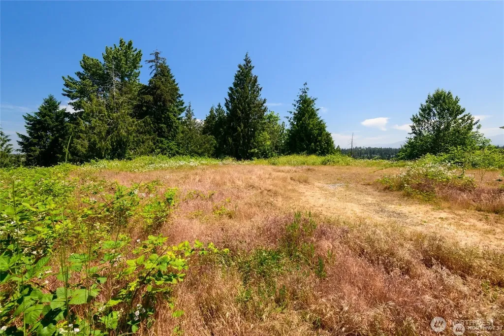 10602 177th Avenue Ct E Bonney Lake WA 98391