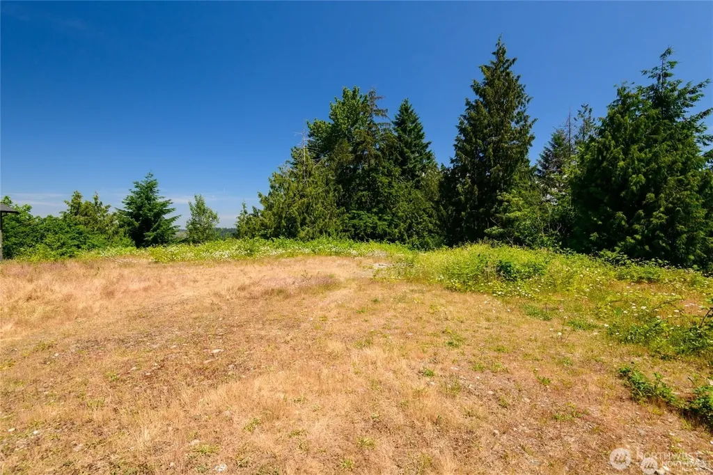10602 177th Avenue Ct E Bonney Lake WA 98391