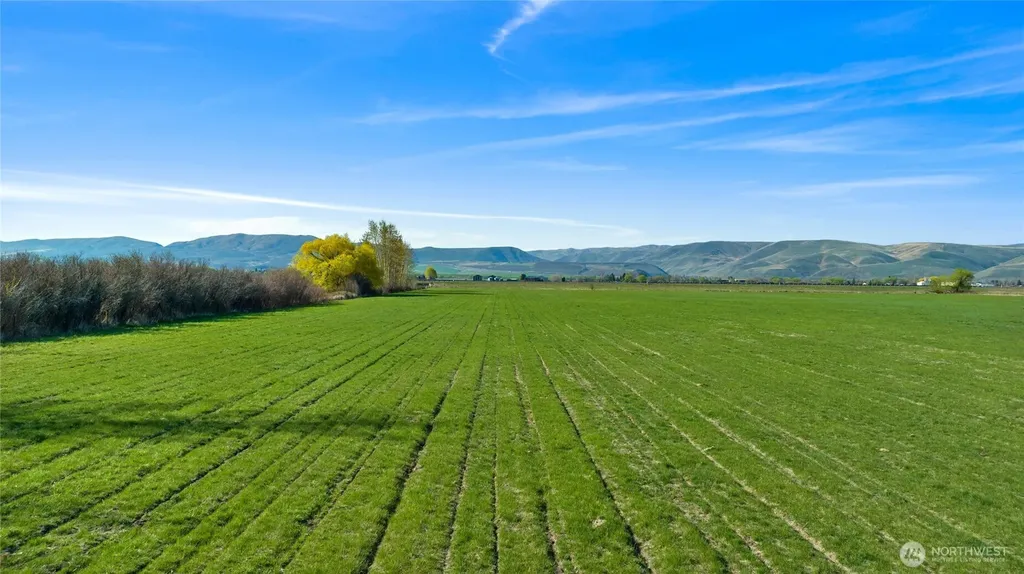 5 Rein Road Ellensburg WA 98926