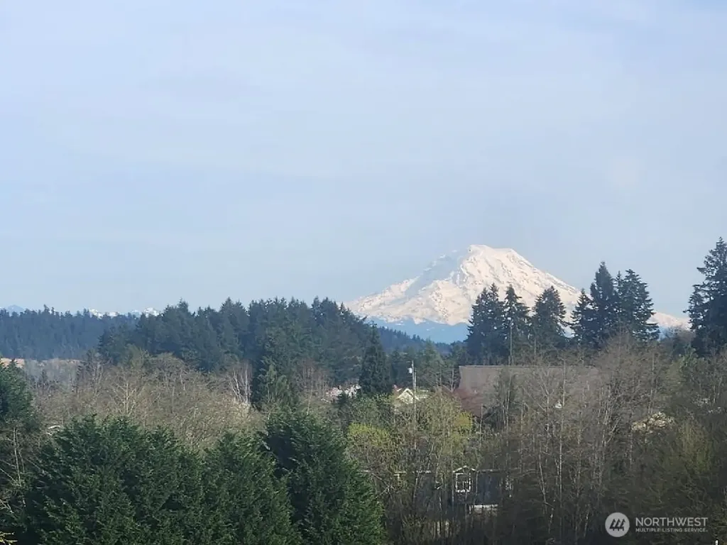 8309 Bayridge Avenue Gig Harbor WA 98335