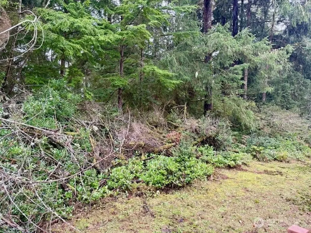 2002 200th Lane Ocean Park WA 98640
