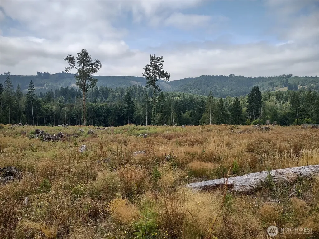 0 Summit Lake Road Olympia WA 98502