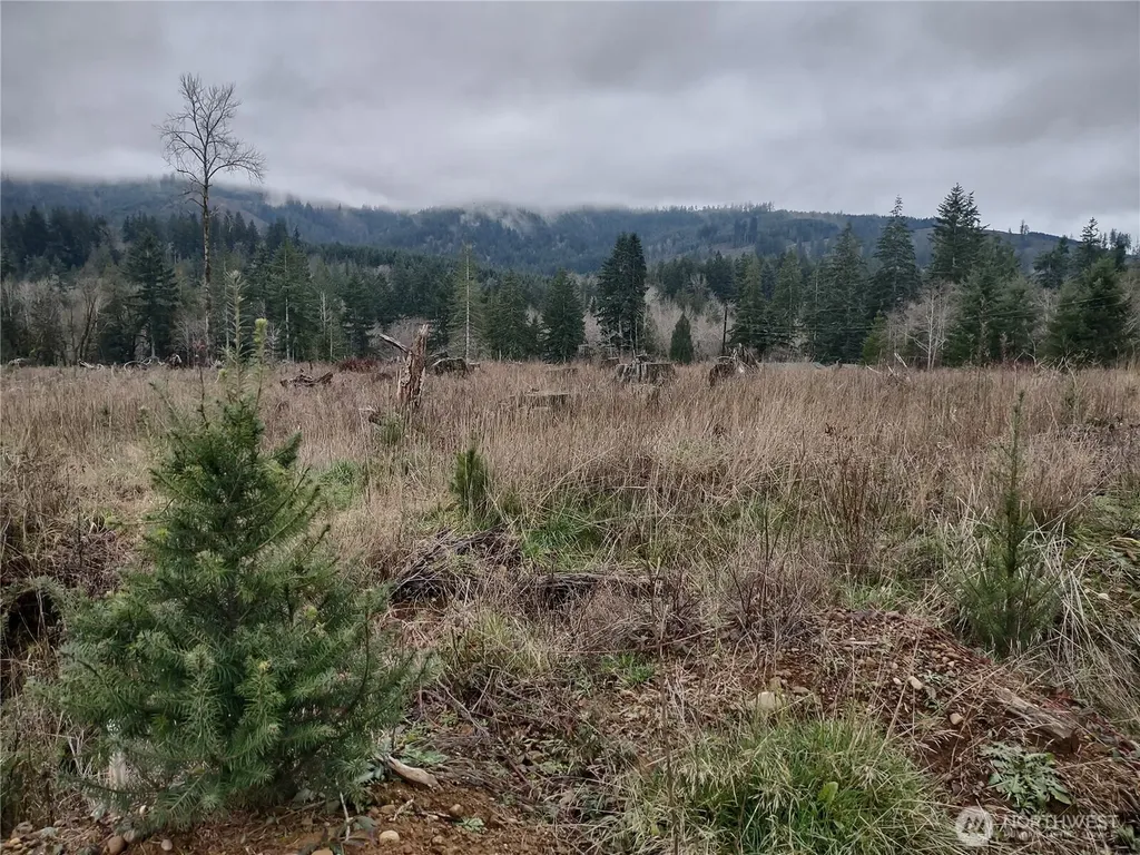 0 Summit Lake Road Olympia WA 98502