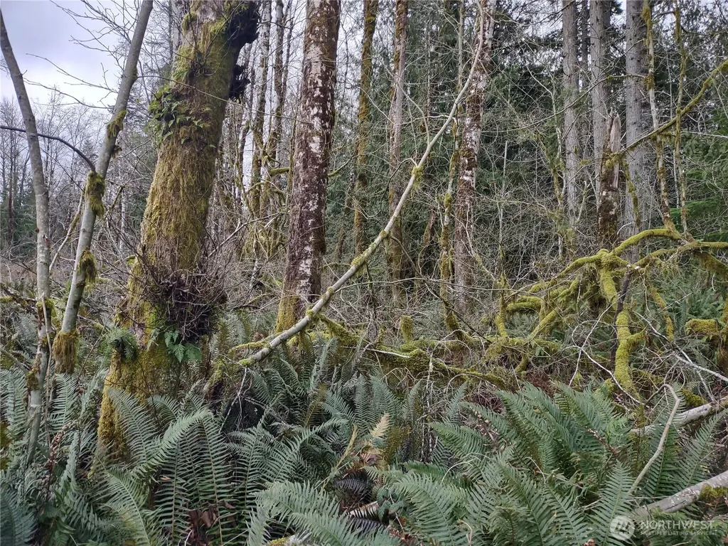 0 Summit Lake Road Olympia WA 98502