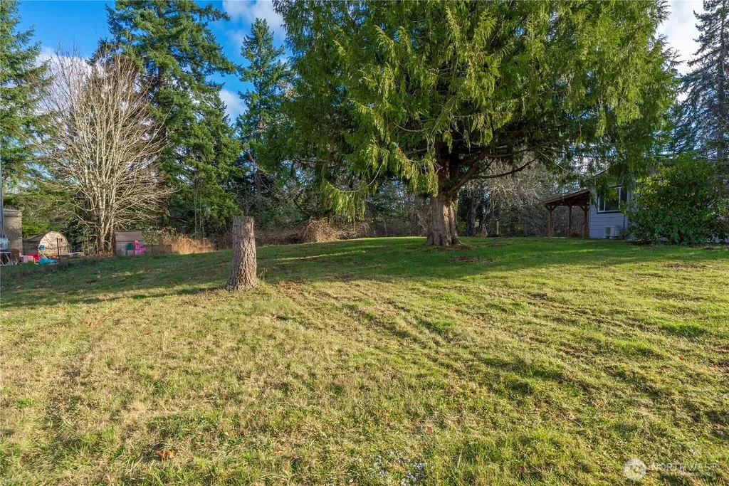 733 Tipsoo Loop S Rainier WA 98576