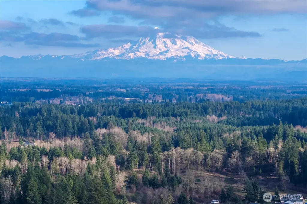 733 Tipsoo Loop S Rainier WA 98576