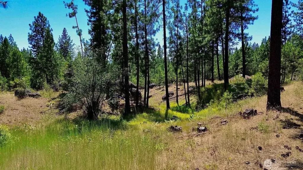 5687 Corkscrew Canyon Road Tumtum WA 99034