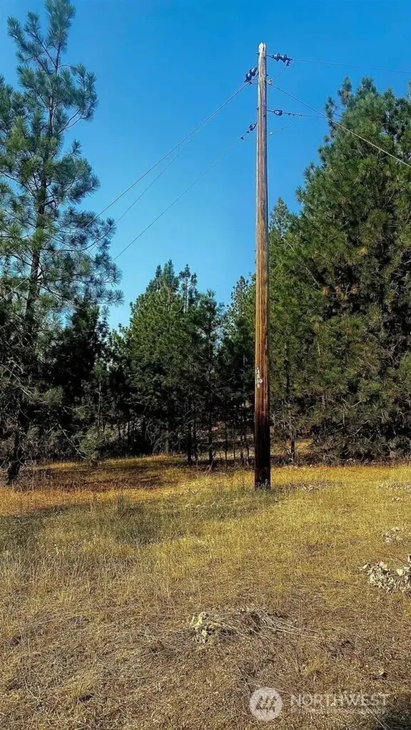 5687 Corkscrew Canyon Road Tumtum WA 99034