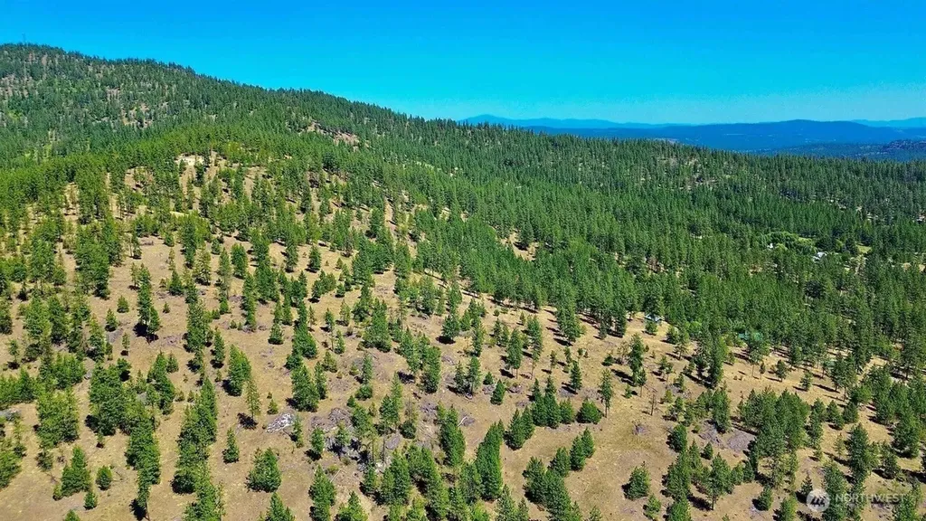 5687 Corkscrew Canyon Road Tumtum WA 99034