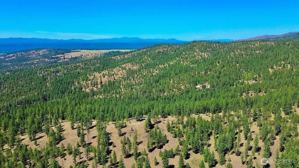 5687 Corkscrew Canyon Road Tumtum WA 99034