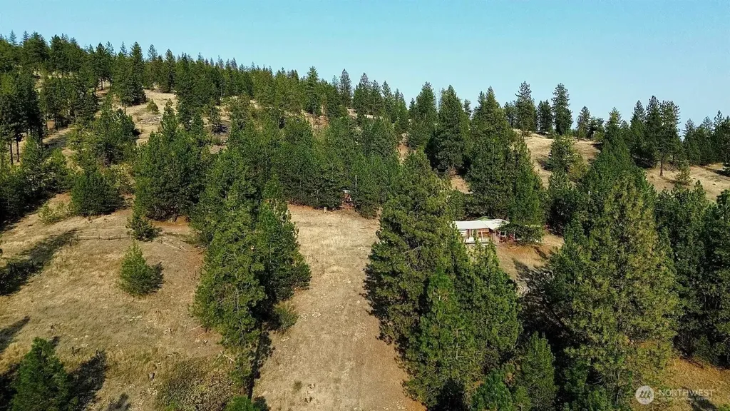 5687 Corkscrew Canyon Road Tumtum WA 99034