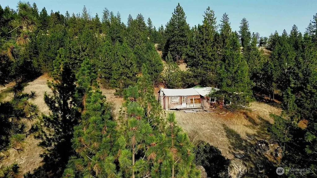 5687 Corkscrew Canyon Road Tumtum WA 99034