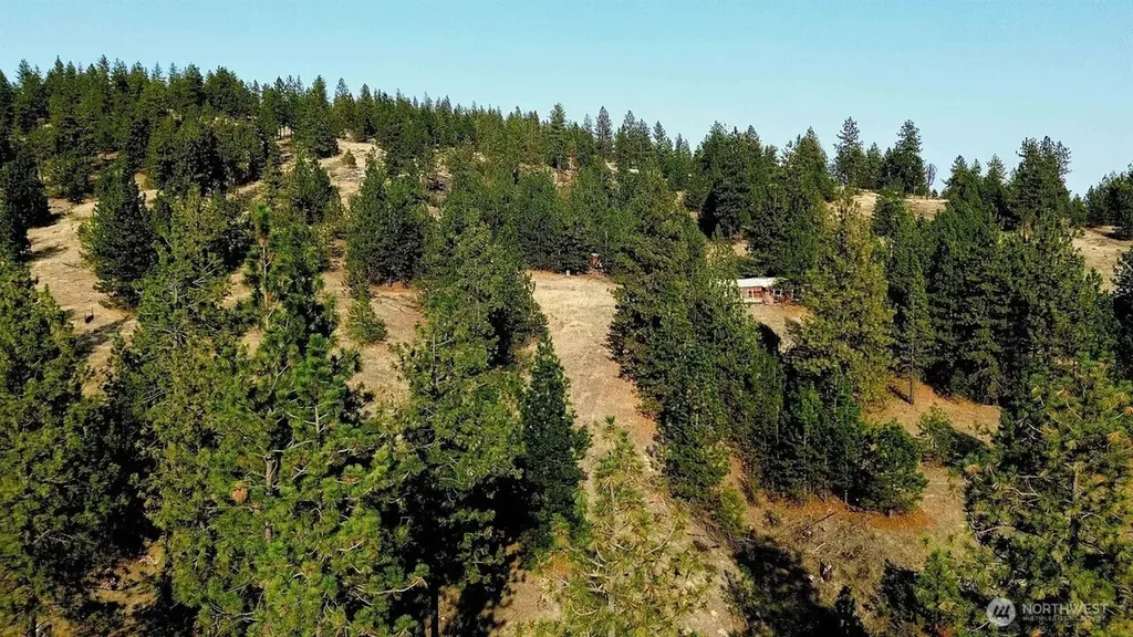 5687 Corkscrew Canyon Road Tumtum WA 99034