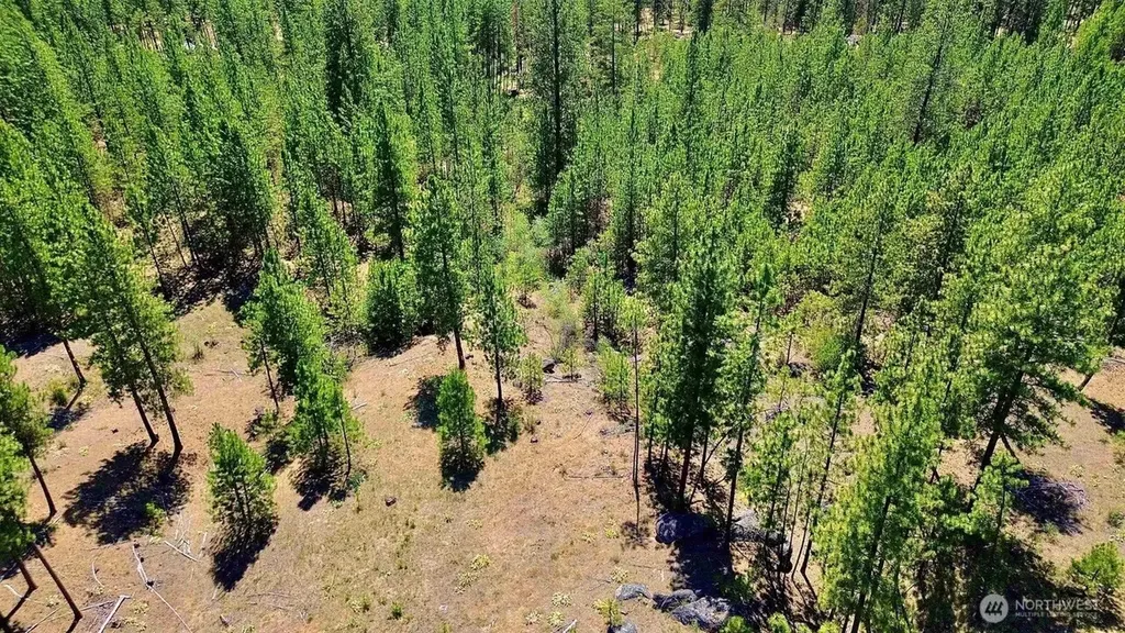 5687 Corkscrew Canyon Road Tumtum WA 99034
