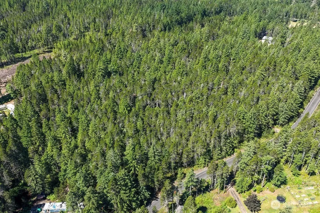 0 NE Sides Way Belfair WA 98528