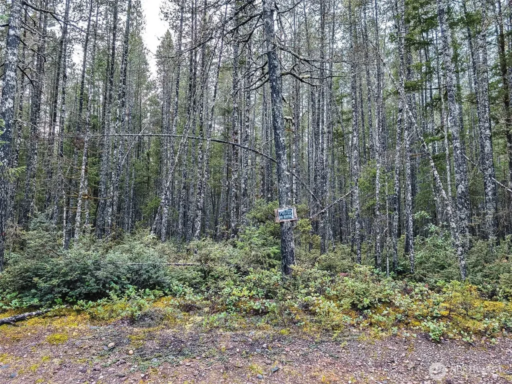 0 NE Sides Way Belfair WA 98528