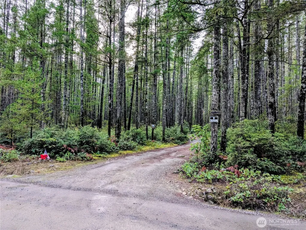 0 NE Sides Way Belfair WA 98528