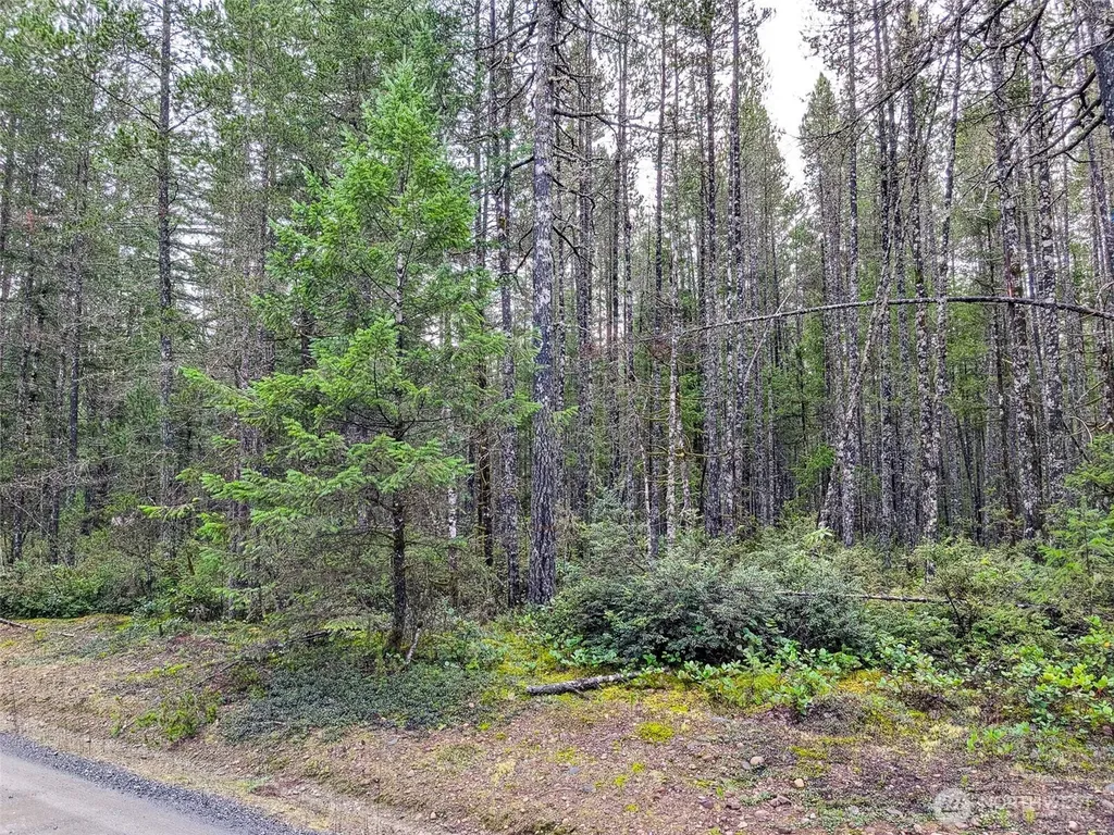 0 NE Sides Way Belfair WA 98528
