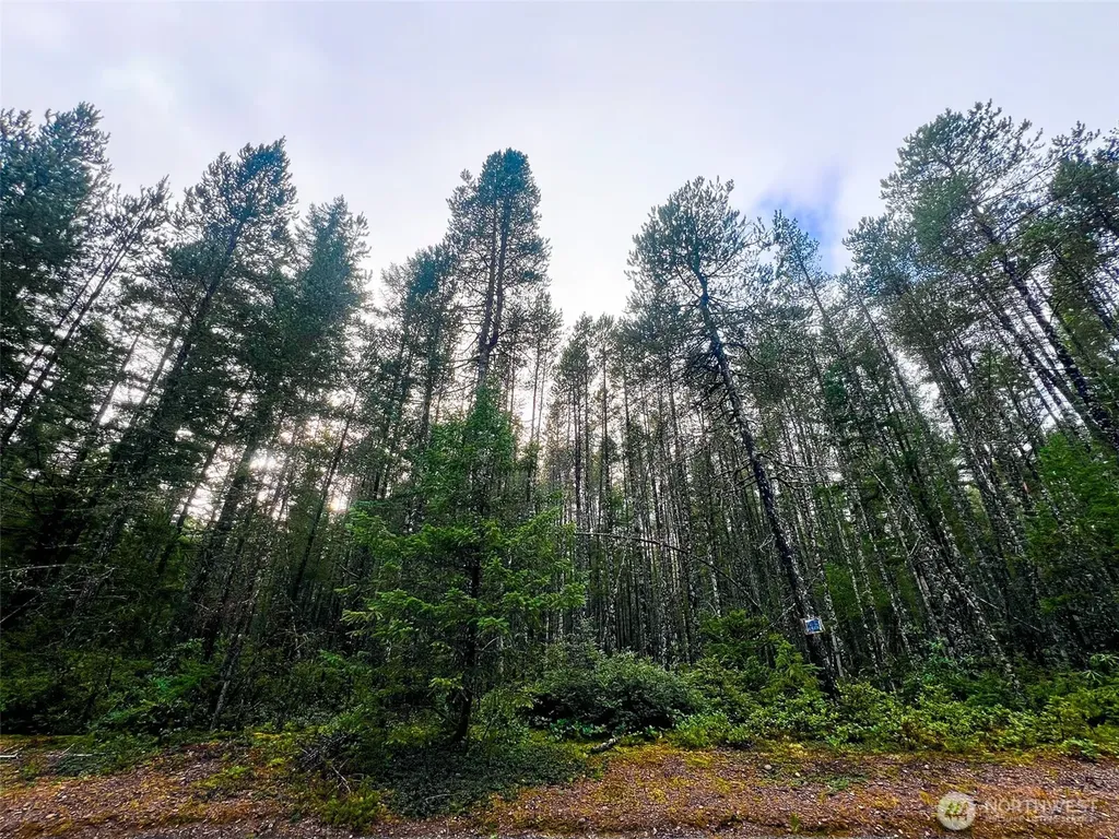 0 NE Sides Way Belfair WA 98528