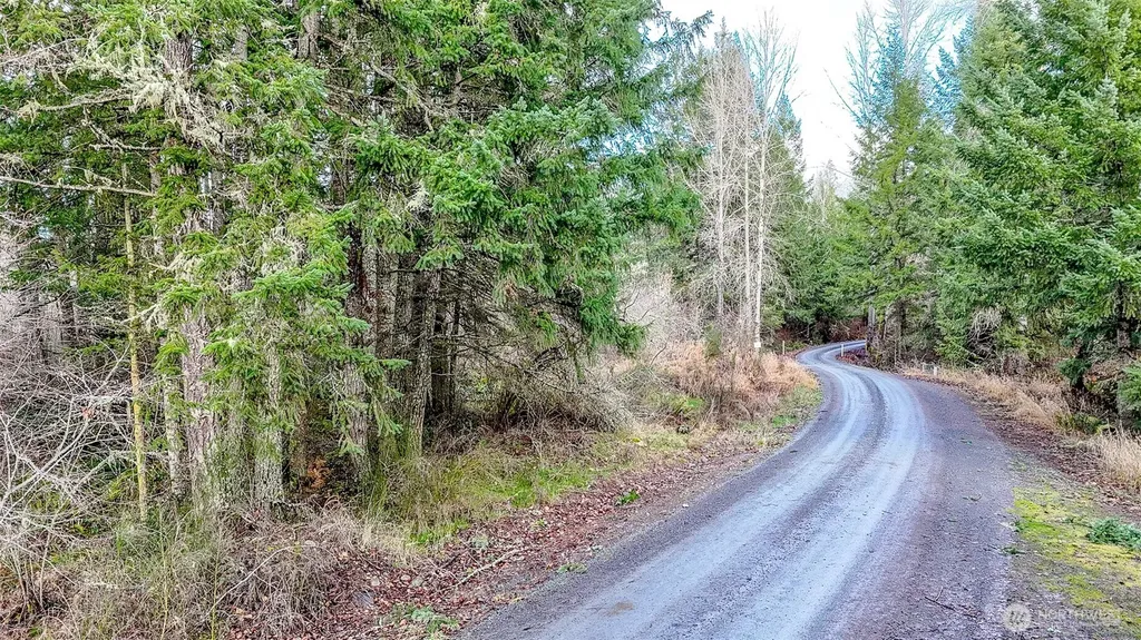 39838 Mountain Park Drive E Roy WA 98580